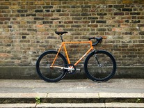 Sparkly Samson NJS photo