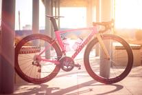 Specialized Allez Sprint photo