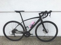 Specialized Diverge