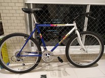 1988 Specialized Hockhopper