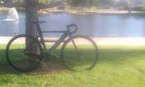 Specialized Langster Pro 2014