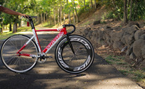 Specialized Langster Pro photo