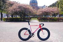 Specialized Langster Pro photo