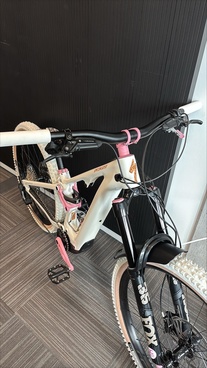 Specialized Levo SL
