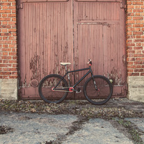 Specialized p.fix