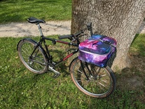 Specialized Rockhopper