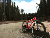 Specialized Stumpjumper photo