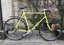 YELLOW COMMUTER (Goldia?) photo