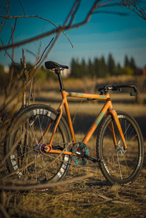 Squid Tarckwondo Lava photo