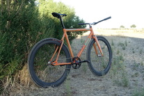 Squid Tarckwondo Lava