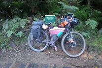 Standert touring bike 650b