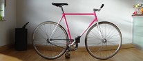 STANDERT Vice // Colossi Fixed Gear