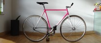 STANDERT Vice // Colossi Fixed Gear photo