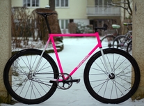 Standert Vice "Pink Pony"