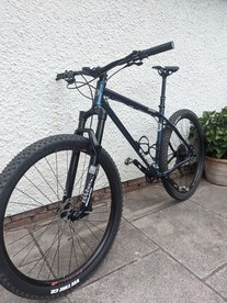 Stanton Sherpa 29er photo