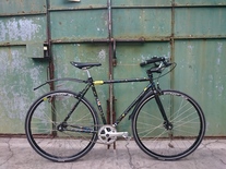 Steel Beater SS 2.0 photo