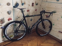 storck scenario c 1.1