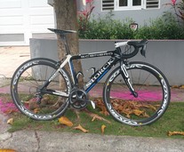 Storck Scenero G1