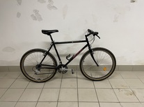 Stumpjumper