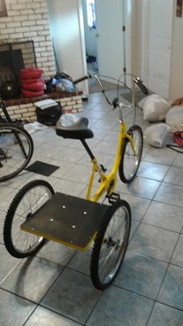 Sun Atlas Cargo Trike photo