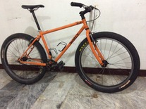 Surly 1x1