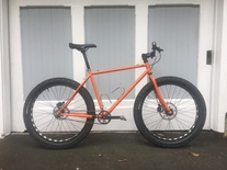 Surly 1x1 photo