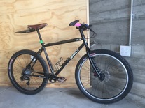 Surly 1x1