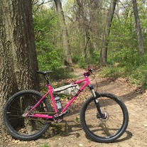 Surly 1x1 Pink SSMTB