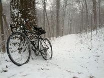 Surly Cross Check photo