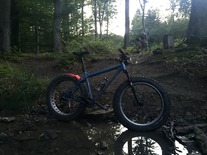 Surly Ice Cream Truck photo