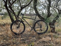 Surly Karate Monkey 2020