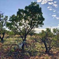 Surly Karate Monkey photo