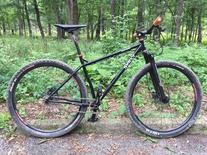 2011 Surly Karate Monkey Dingle speed