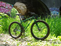 Surly Krampus photo