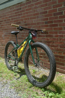 Surly Krampus photo