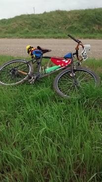 Surly Long Haul Trucker photo