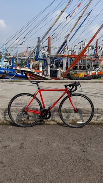 Surly Pacer 50 cm photo
