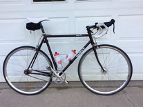 **Stolen** Surly Steamroller