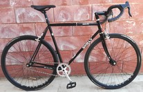 Surly Steamroller SS Ibex