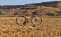 Surly "Tractor" Steamroller photo