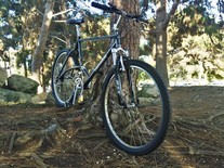 Tamarac hardtail