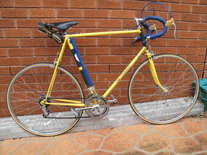 Ted Pritchard Reynolds Campagnolo 1963