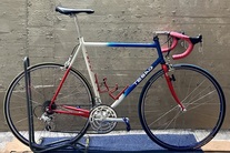 Tesag custom road bike photo