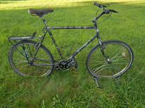 the commando singlespeed