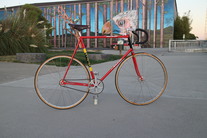 Ti Raleigh Team Professional Track -1980