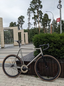 Waltly titanium track