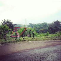 Track Pursuit photo