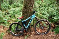 Transition Dirtbag DH/FR custom build