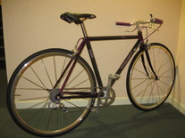 Trek 2120