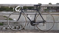 Trek 420 Fast Track